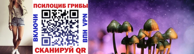 Псилоцибиновые грибы Psilocybine cubensis  Берёзовка 